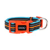 DOOG Neoprene Beethoven Neon Blue and Orange Dog Collar Extra Small (+_+)-Habitat Pet Supplies