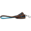 DOOG Neoprene Beethoven Neon Blue and Orange Dog Lead Small (+_+)-Habitat Pet Supplies