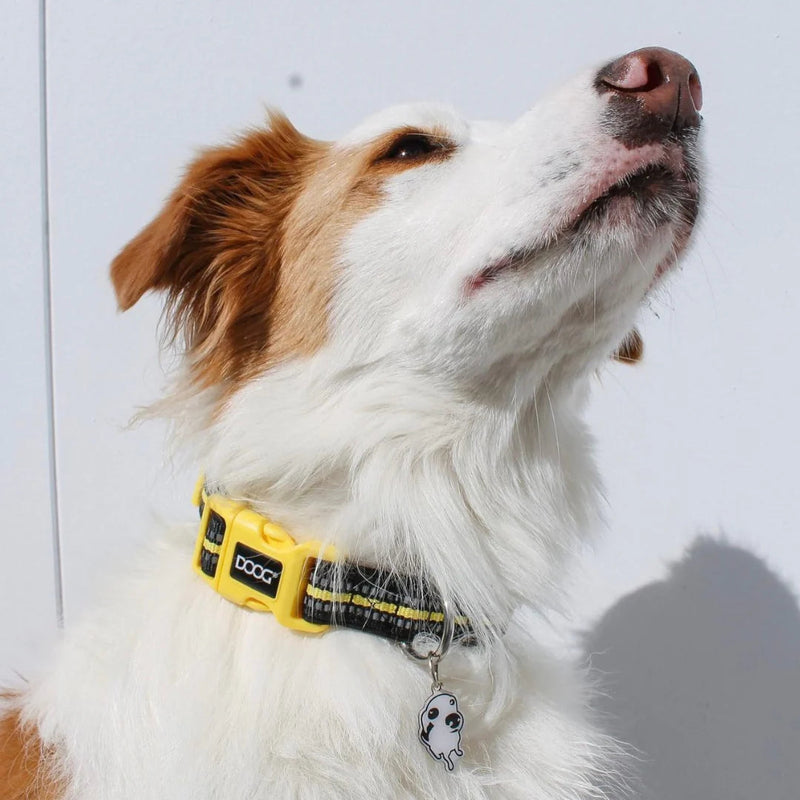 DOOG Neoprene Bolt Neon Black and Yellow Dog Collar Large (+_+)