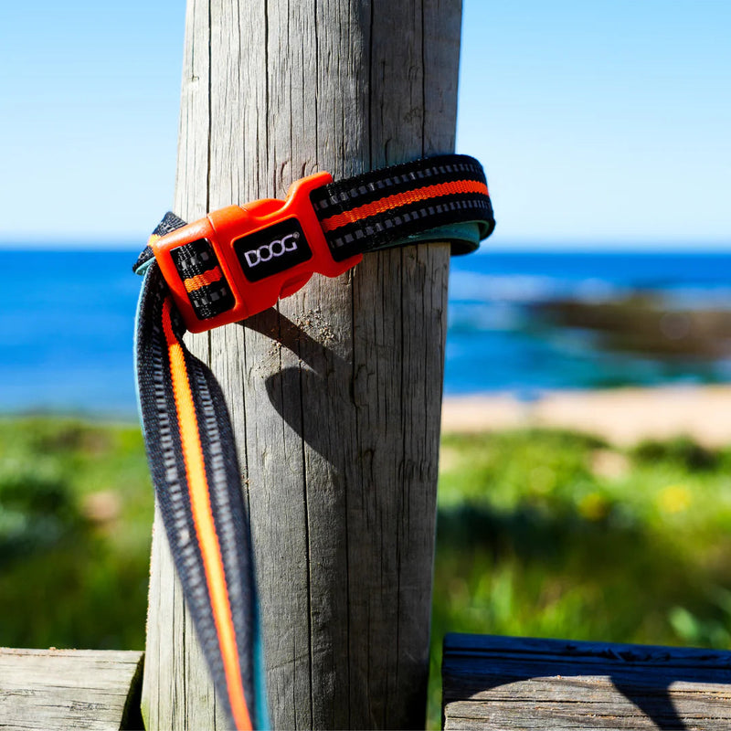 DOOG Neoprene Clip It Beethoven Neon Blue and Orange Adjustable Dog Lead Extra Large (+_+)
