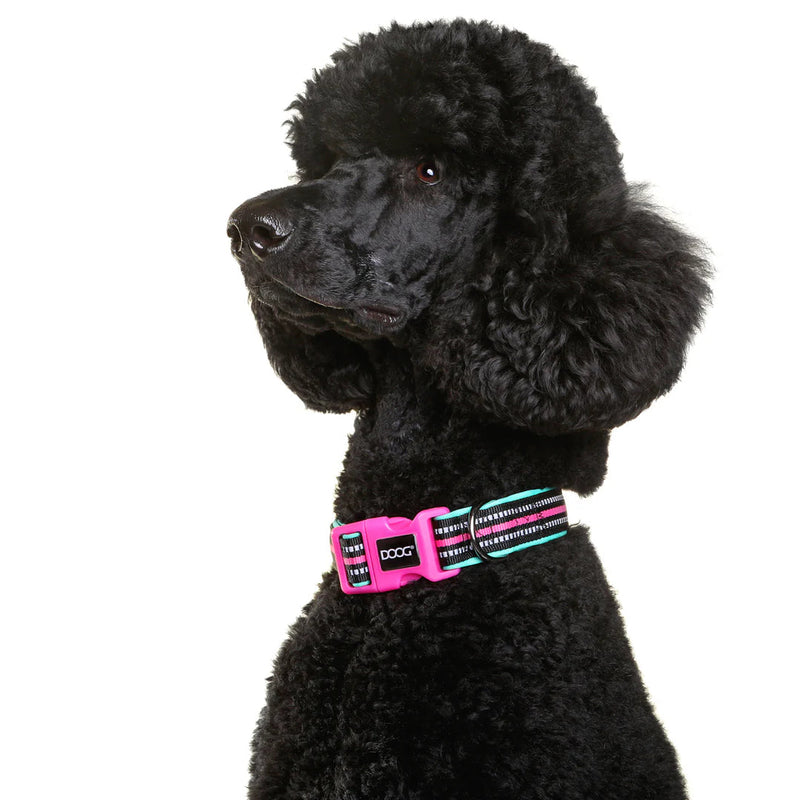 DOOG Neoprene Rin Tin Tin Neon Teal and Pink Dog Collar Extra Small (+_+)