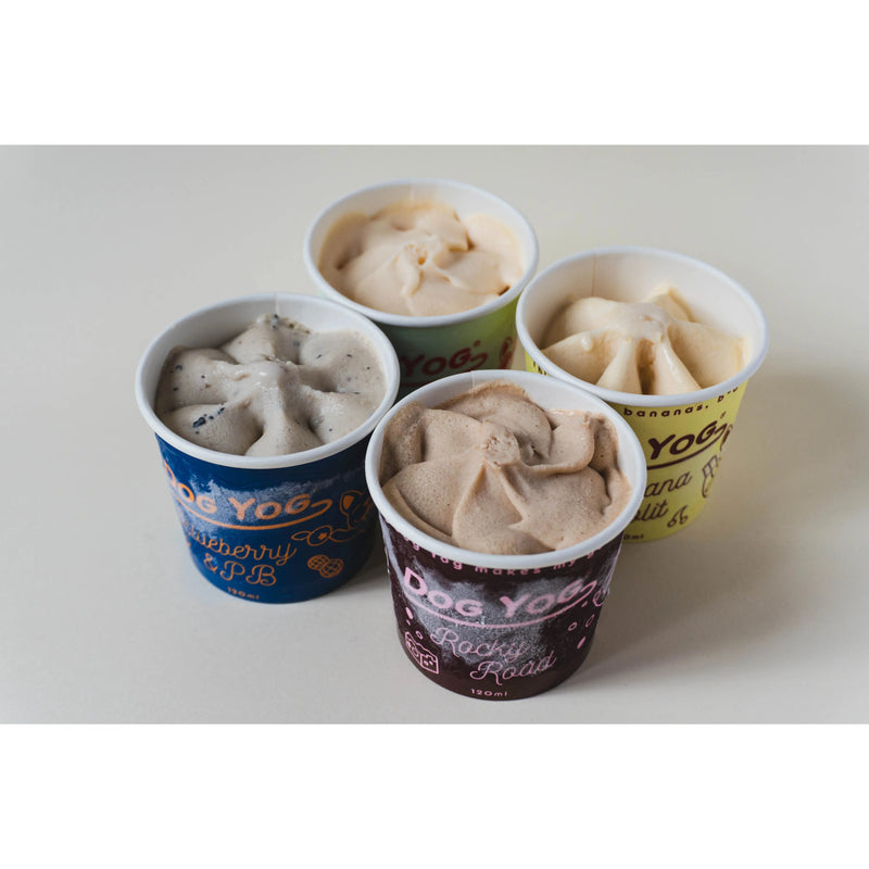 Dog Yog Frozen Dog Ice Cream Freezer Friendly 120ml Four Pack includes Blueberry Collagen, Strawberry Dreams, Rocky Road and Banana Split Flavours
