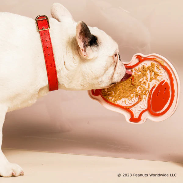 Dog Yog Snoopy Lick Mat