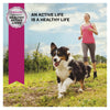 Eukanuba Dog Adult Small Breed Dry Food 7.5kg