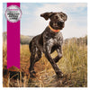 Eukanuba Dog Adult Sport 30/20 Dry Food 15kg
