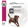 Eukanuba Dog Fit Body Adult Large Breed Dry Food 14kg