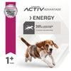 Eukanuba Dog Fit Body Adult Medium Breed 15kg