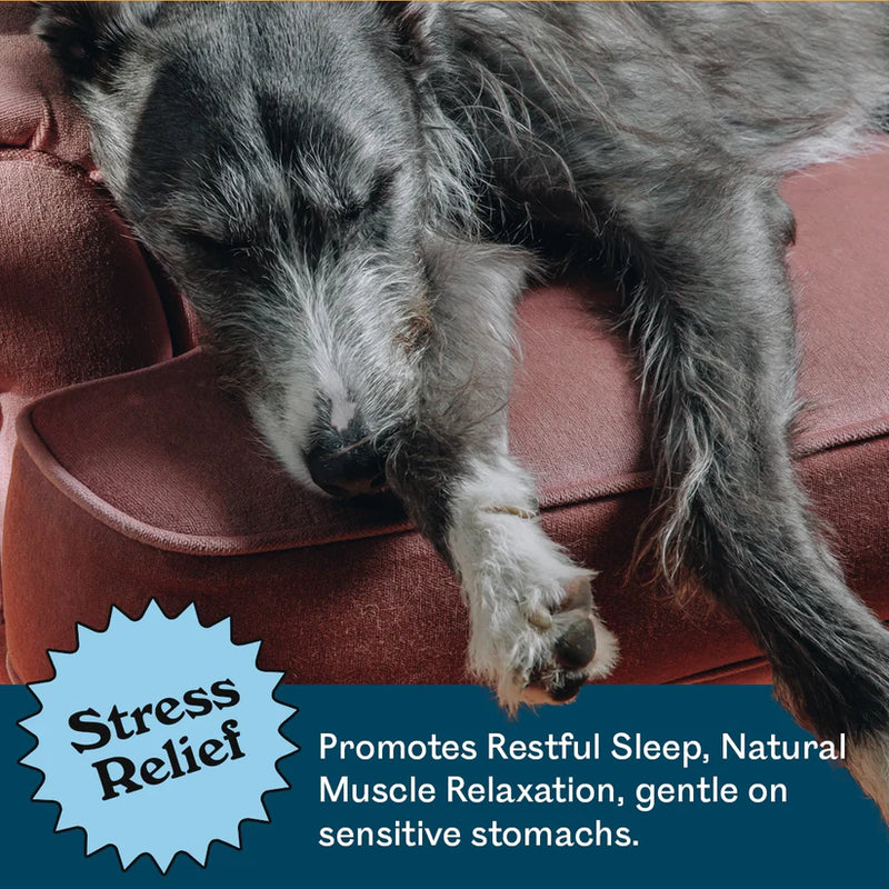 Eureka Calming + Restore Functional Dog Treat 100g