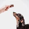 Eureka Calming + Restore Functional Dog Treat 100g