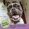 Eureka Minty Roo Chews Dog Treat 9 Pack