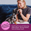 Eureka Skin & Coat + Nails Functional Dog Treat 100g