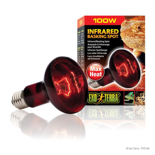 Exo Terra Heat Glo Infrared Basking Spot Lamp 100w