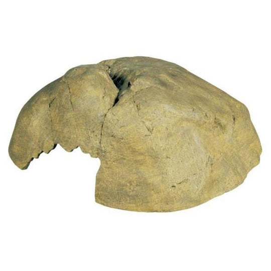 Exo Terra Hiding Cave Extra Large