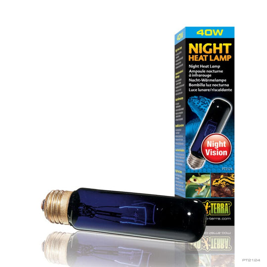 Exo Terra Night Glo Bulb 40w