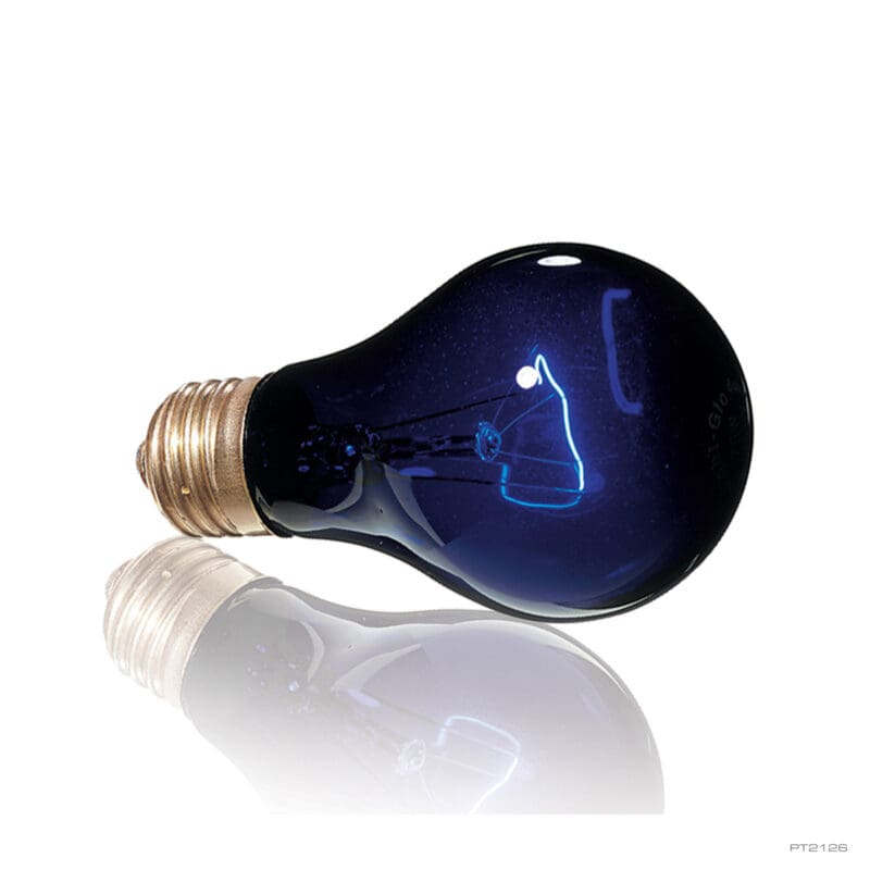 Exo Terra Night Glo Bulb 50w