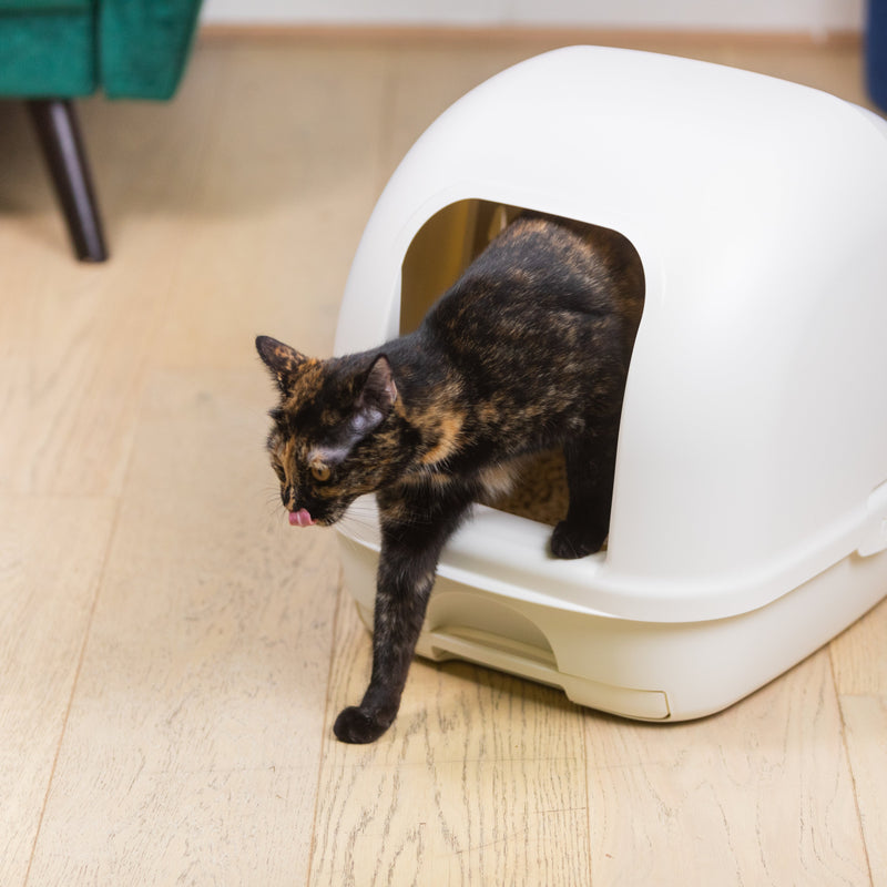 Ezi-LockOdour Dual Layer Cat Litter System Hooded Cat Litter Tray (+_+)