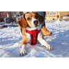 EZYDOG HARNESS CHESTPLATE RED LARGE - Habitat Pet Supplies Altona & Chirnside Park