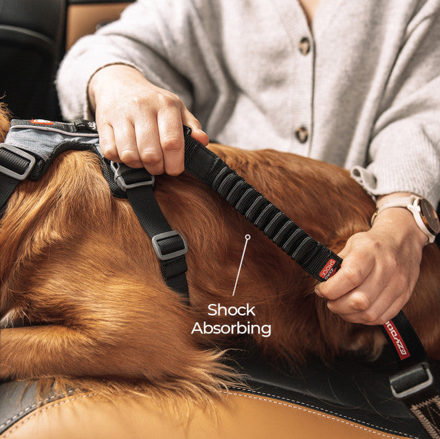 EzyDog Click Zero Shock Car Restraint for Dogs
