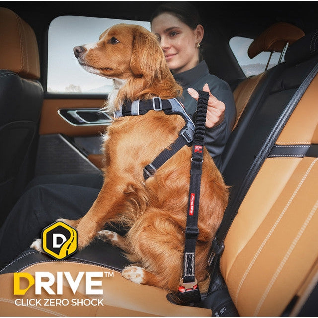 EzyDog Click Zero Shock Car Restraint for Dogs