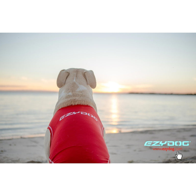 EzyDog Dog Rashie 50+ UV Extra Small