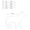 EzyDog Dog Rashie 50+ UV Extra Small