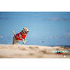EzyDog Dog Rashie 50+UV Extra Large