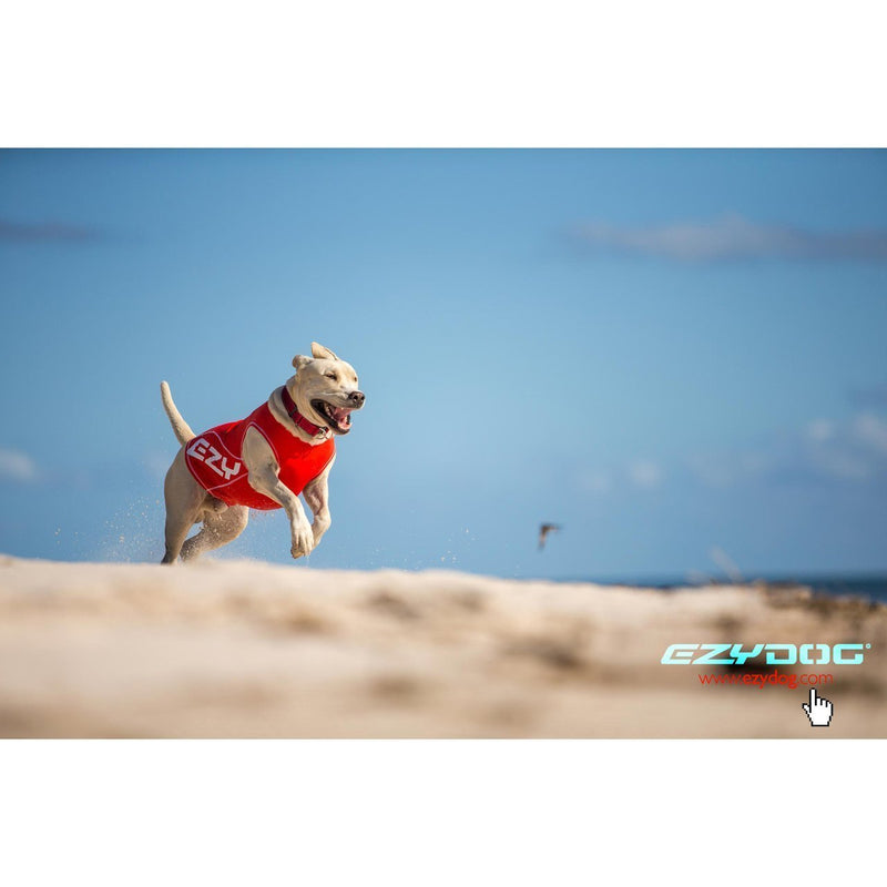 EzyDog Dog Rashie 50+UV Extra Large