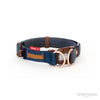 EzyDog Double Up Dog Collar Medium Denim-Habitat Pet Supplies