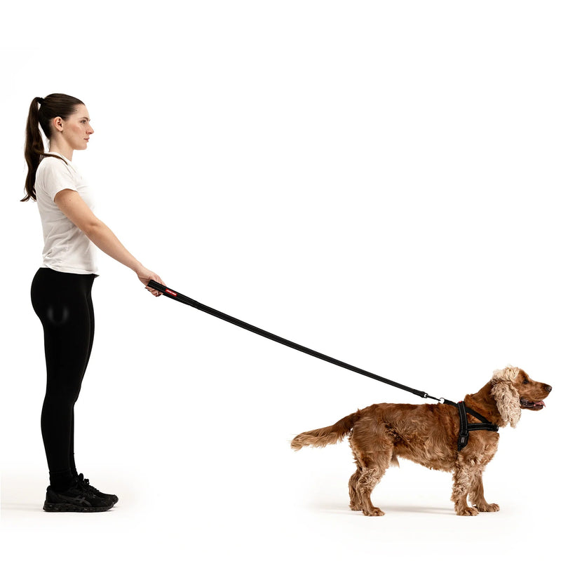 EzyDog Essential Dog Lead Pink 48inch
