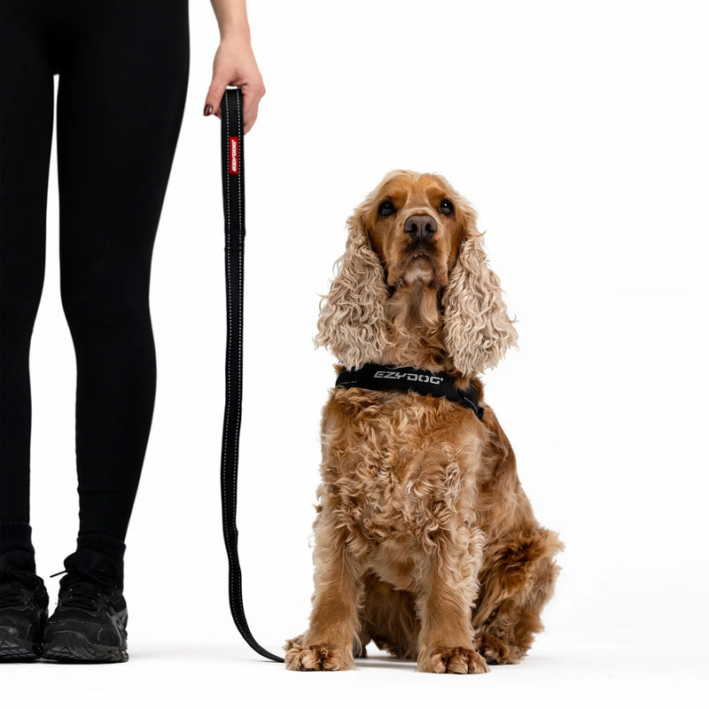 EzyDog Essential Dog Lead Pink 48inch
