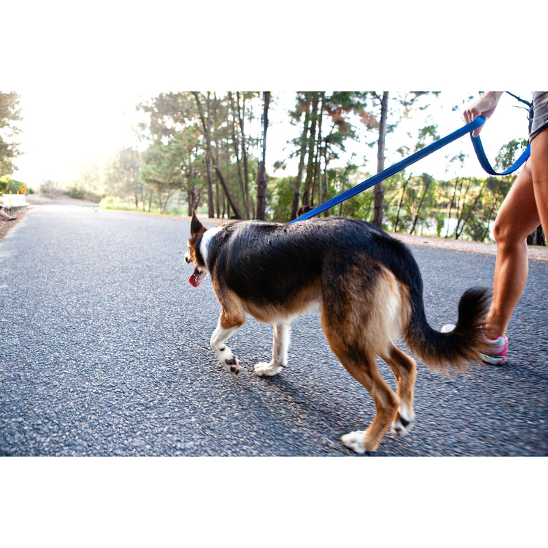EzyDog Essential Dog Lead Red