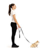 EzyDog Essential Lite Dog Lead Red 72inch