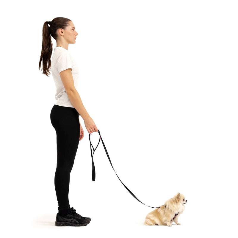 EzyDog Essential Lite Dog Lead Red 72inch