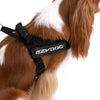 EzyDog Express Blue Dog Harness Large