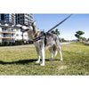 EzyDog Express Red Dog Harness Extra Extra Small *!*!*