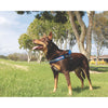 EzyDog Express Red Dog Harness Large