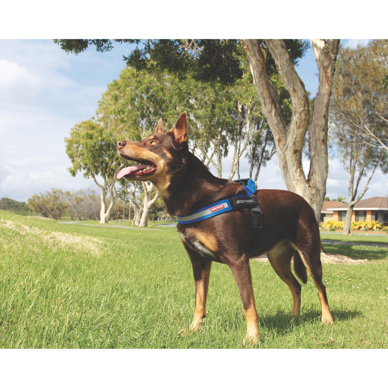 EzyDog Express Red Dog Harness Large