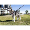 EzyDog Express Red Dog Harness Large