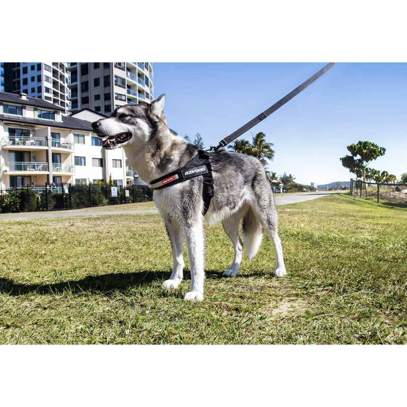 EzyDog Express Red Dog Harness Large