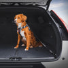 EzyDog Isofix Standard Click Seat Belt for Dogs