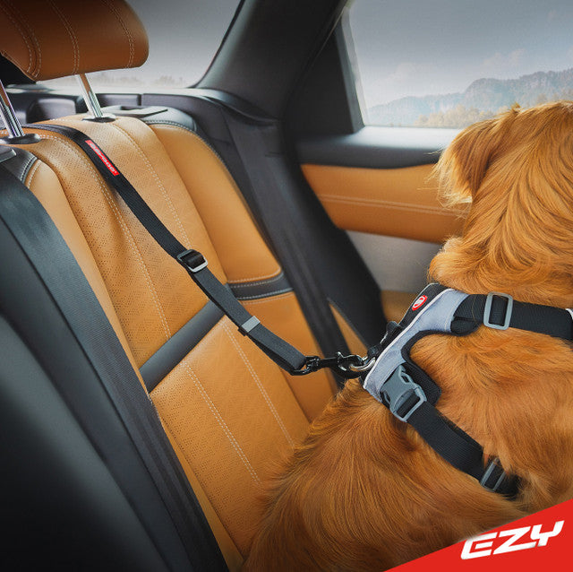 EzyDog Isofix Standard Click Seat Belt for Dogs