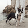 EzyDog Luca Dog Lead Blue 6mm *!*!*