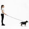 EzyDog Luca Dog Lead Blue 6mm *!*!*