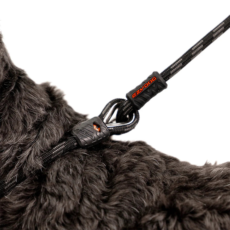 EzyDog Luca Dog Lead Blue 6mm *!*!*