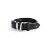 EzyDog Oxford Leather Dog Collar Black Medium {)_(}-Habitat Pet Supplies
