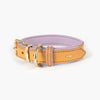 EzyDog Oxford Leather Dog Collar Blonde and Lilac Extra Small-Habitat Pet Supplies