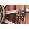 EzyDog Oxford Leather Dog Collar Brown Small