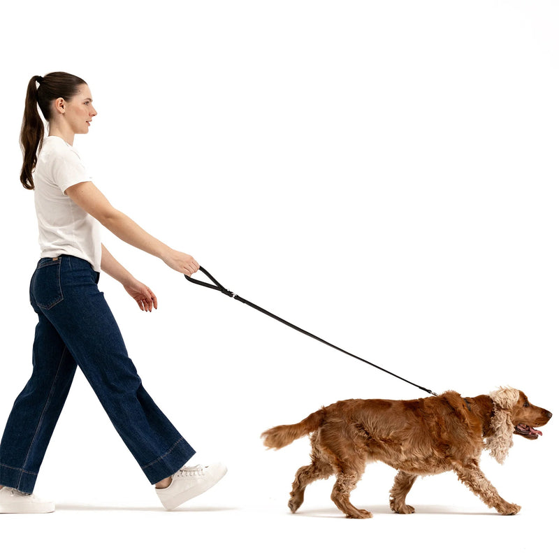 EzyDog Oxford Leather Dog Lead Blonde and Lilac 42inch