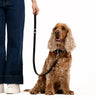 EzyDog Oxford Leather Dog Lead Blonde and Lilac 42inch