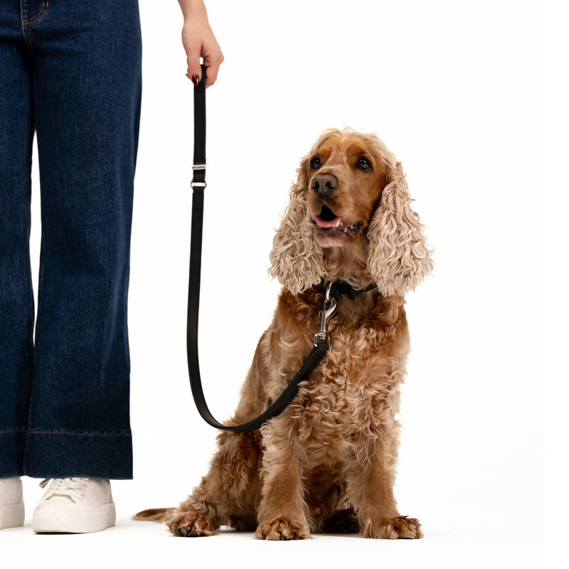 EzyDog Oxford Leather Dog Lead Blonde and Lilac 42inch